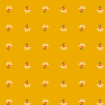 COUPON - Good Gracious