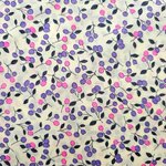 COUPON - Cherry Fluor