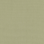 Heavy Canvas Naturel