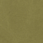 COUPON - Heavy Canvas Olive