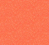 Freckles Coral