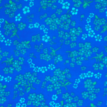 Petit Pan - Toile Cir&eacute;e Hanako Bleu