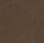 Heavy Canvas Bruin