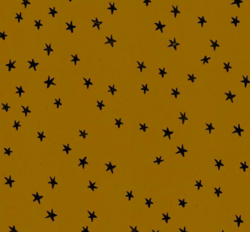 Starry in Suede - Ruby Star Society