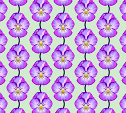 Iconic - Pansy In Lavender