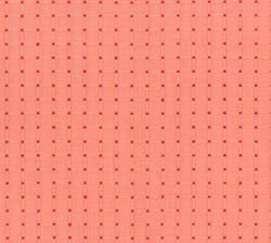 Garden Variety - Seeds In Poppy