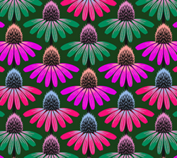 Perennial Borders - Echinacea Green