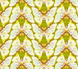 Insectarium Luna Spring