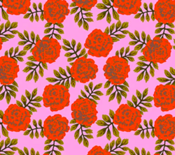 Yesterday - Carnation in Vivid