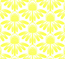 Indelible Soft - Coneflower Sun