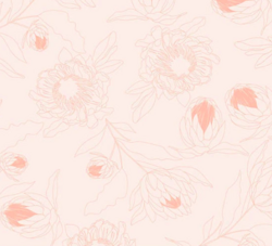 Whispered - Protea Light Salmon
