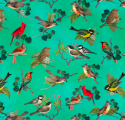 Birds and Blooms