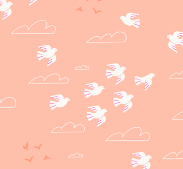 COUPON - Ruby Star Society &ndash; Sunbeam In Flight Peach
