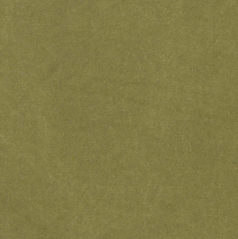 Heavy Canvas Olive