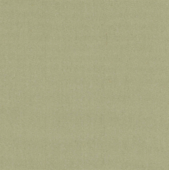 Heavy Canvas Naturel