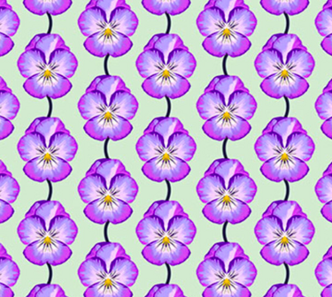 Iconic - Pansy In Lavender