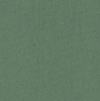 Heavy Canvas Forest