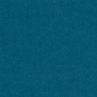 Heavy Canvas Denim