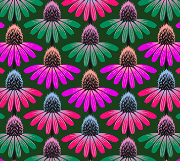 Perennial Borders - Echinacea Green