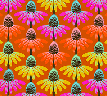 Perennial Borders - Echinacea Orange