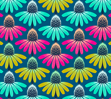 Perennial Borders - Echinacea Teal