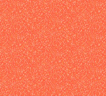 Freckles Coral