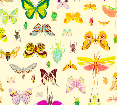 Insectarium On Display