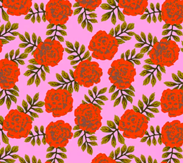 Yesterday - Carnation in Vivid