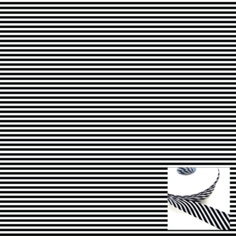 Biaisband stripe zwart