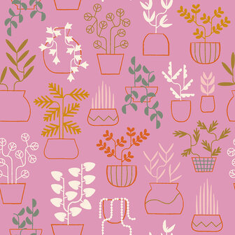 Ruby Star Society &ndash; Calathea Plant Life Kiss