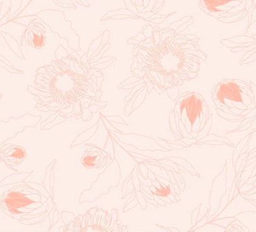 Whispered - Protea Light Salmon