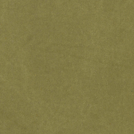 Heavy Canvas Olive