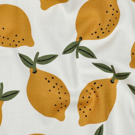 Canvas Fruits Lemons White