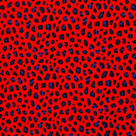 Canvas Leopard rood/kobalt