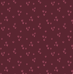 Moonlit - Sprout Orchid